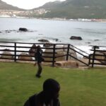 IMG_1220-1