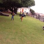 IMG_1224-1